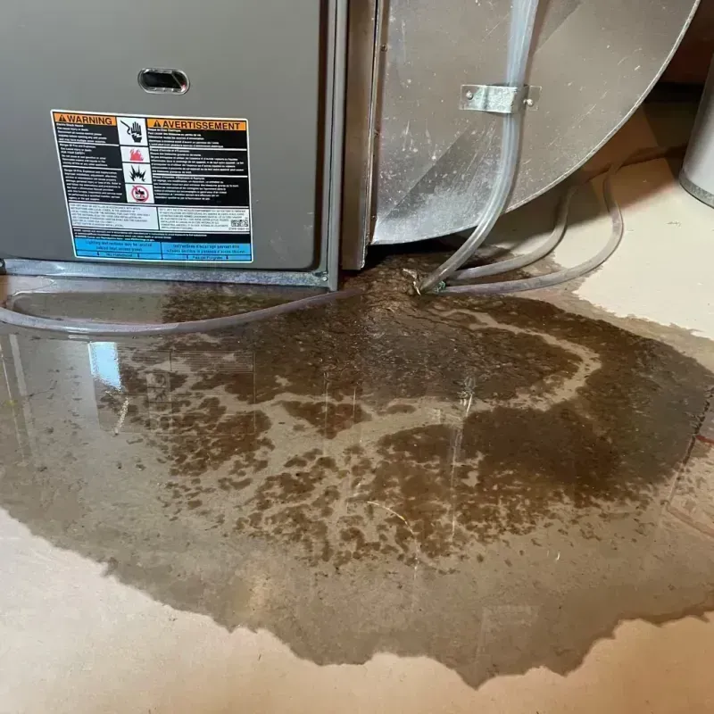 Appliance Leak Cleanup in Jonesville, MI